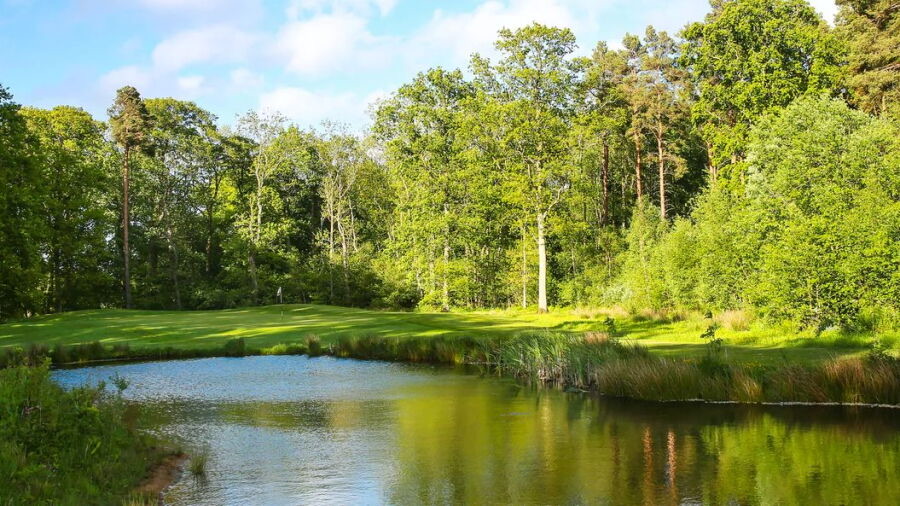 Linden Hall golf course beside a woodland lake