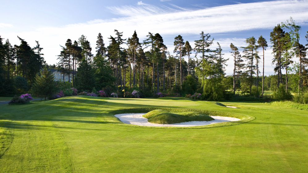 Slaley Hall Hunting course green and sculpted bunker